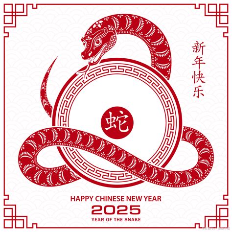 2025是什么蛇|2025年生肖属什么？